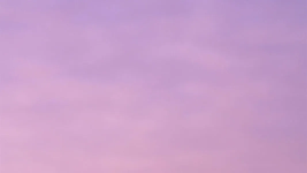 Violett verlaufender Abendhimmel über der Düne
